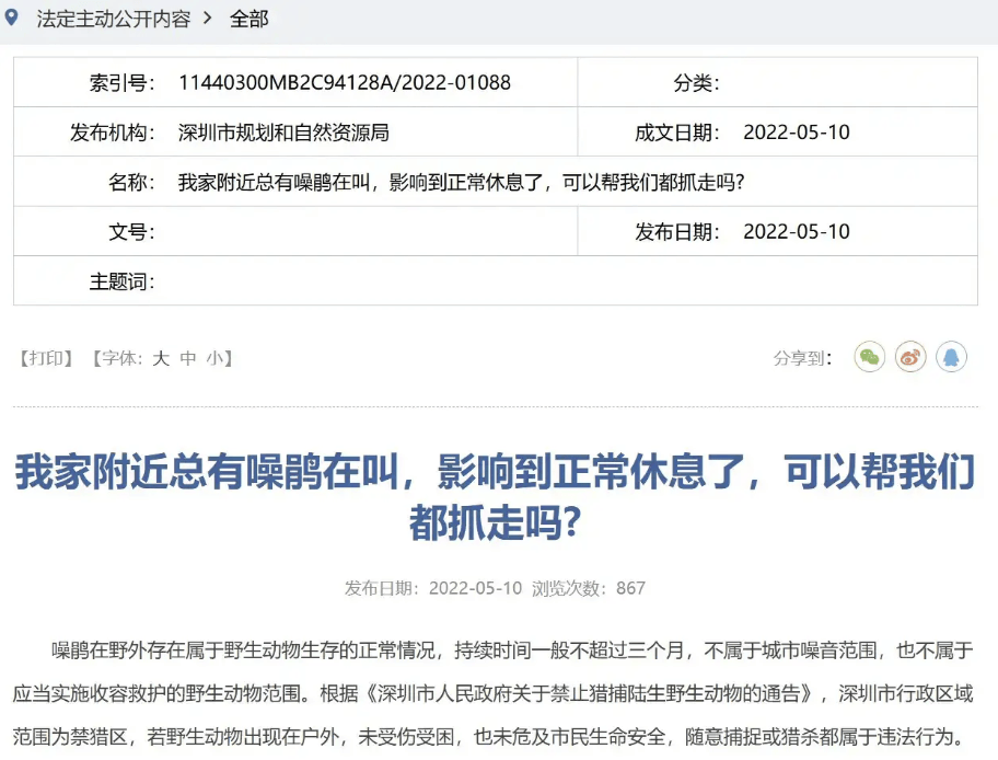 “周末想睡个懒觉都不行”<strong></p>
<p>房产证</strong>,有多少深圳人被这种鸟吵到神经衰弱