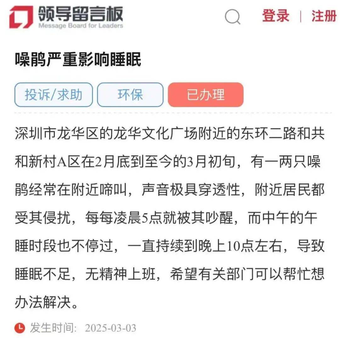 “周末想睡个懒觉都不行”<strong></p>
<p>房产证</strong>,有多少深圳人被这种鸟吵到神经衰弱