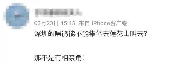 “周末想睡个懒觉都不行”<strong></p>
<p>房产证</strong>,有多少深圳人被这种鸟吵到神经衰弱