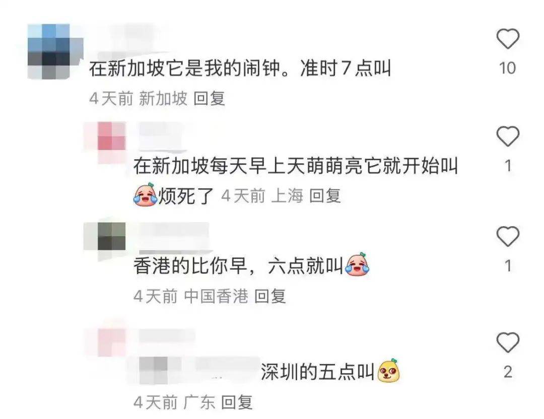 “周末想睡个懒觉都不行”<strong></p>
<p>房产证</strong>,有多少深圳人被这种鸟吵到神经衰弱