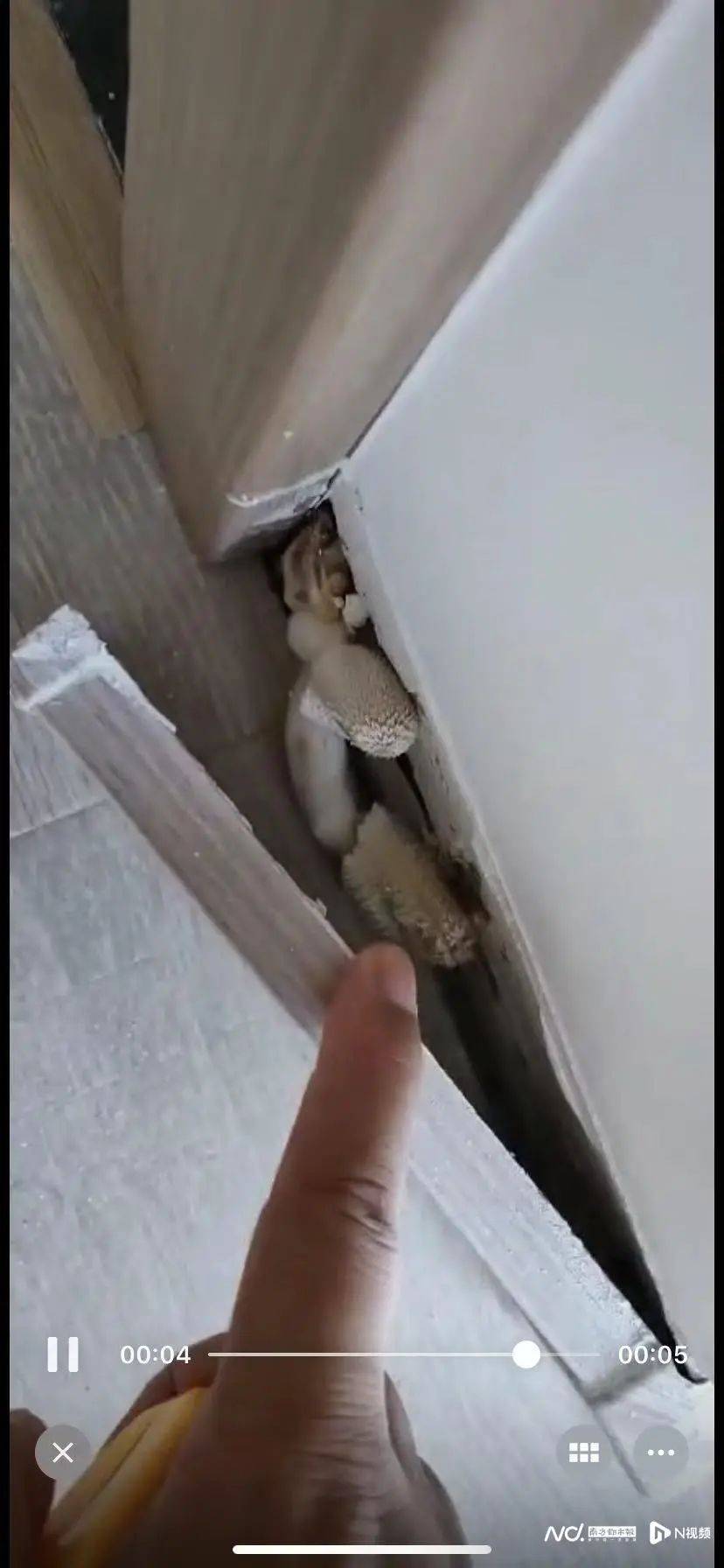 “深更半夜<strong></p>
<p>驾驶证</strong>，又掉一大块下来”！广东一小区业主怒了