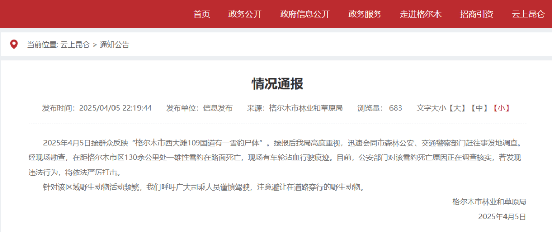 国道上发现雪豹尸体<strong></p>
<p>驾驶证</strong>，疑似一级保护动物遭车辆撞击