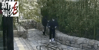 太猖狂！事发上海迪士尼<strong></p>
<p>越南</strong>，7人被刑拘