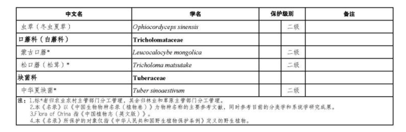 价值18万余元！男子在祁连山非法收购5632根冬虫夏草<strong></p>
<p>菲律宾</strong>，构成危害国家重点保护植物罪获刑