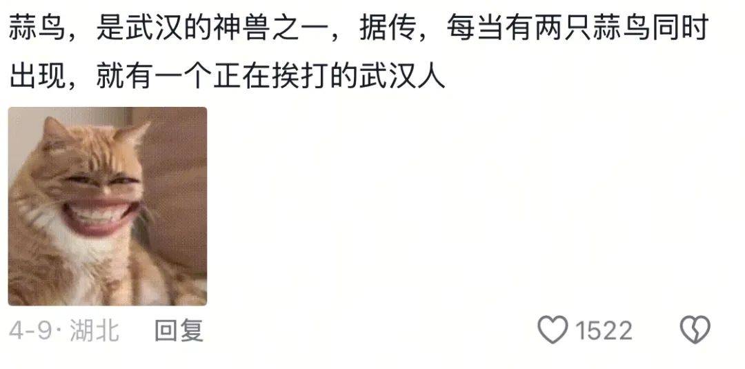 武汉话“蒜鸟”<strong></p>
<p>云南大理</strong>，最近劝（添）架（乱）唯一指定用语