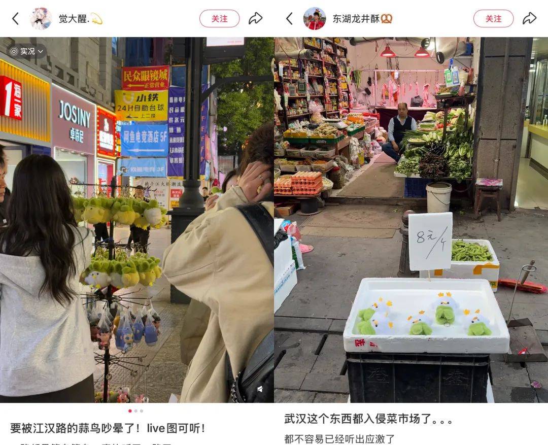 武汉话“蒜鸟”<strong></p>
<p>云南大理</strong>，最近劝（添）架（乱）唯一指定用语