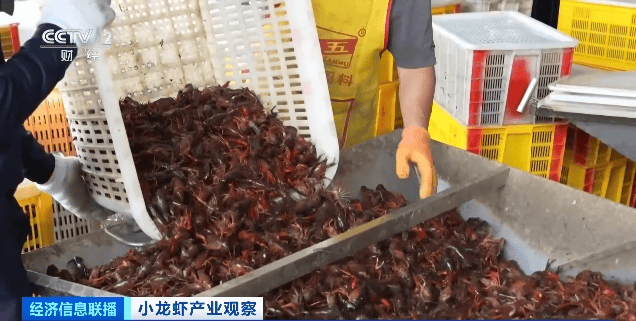 价格暴跌近50%<strong></p>
<p>大理寺</strong>！“接下来还会降”！青岛正大量上市……
