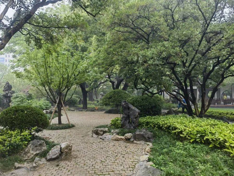 紧急提醒：瞬间爆发！上海市民崩溃：密密麻麻<strong></p>
<p>剧本</strong>，蠕蠕爬行...“梧桐区”已开始战斗，白蚁或提前分飞