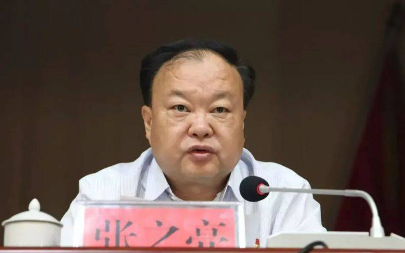 中央提级巡视期间<strong></p>
<p>影视</strong>，已降级、退休的张之亮，官宣落马！