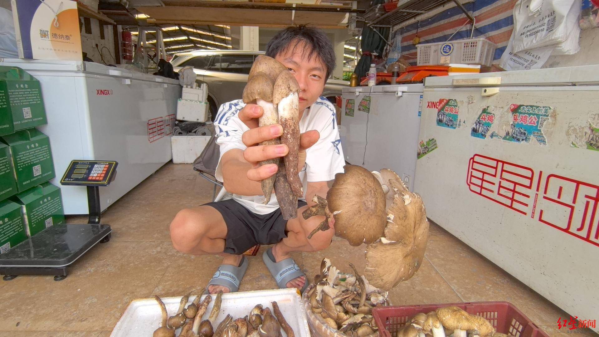“天价”鸡枞调查：最贵卖到1800元/公斤！雨水少致产量低<strong></p>
<p>美国</strong>，多地价高客少