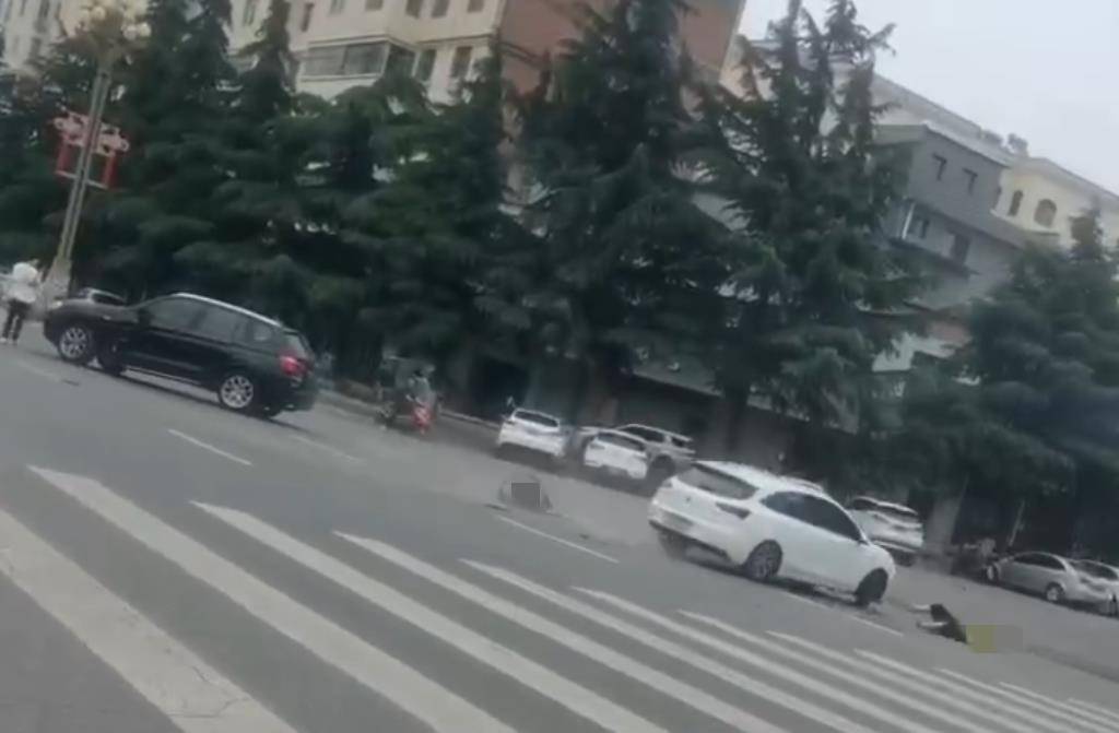 宝鸡一社区女书记当街开车追撵女子撞上电瓶车：两名女子被警方控制<strong></p>
<p>格力</strong>，两名伤者在医院治疗