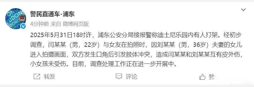 上海迪士尼游客打架<strong></p>
<p>格力</strong>，属地部门：因孩子进入对方取景框引起冲突