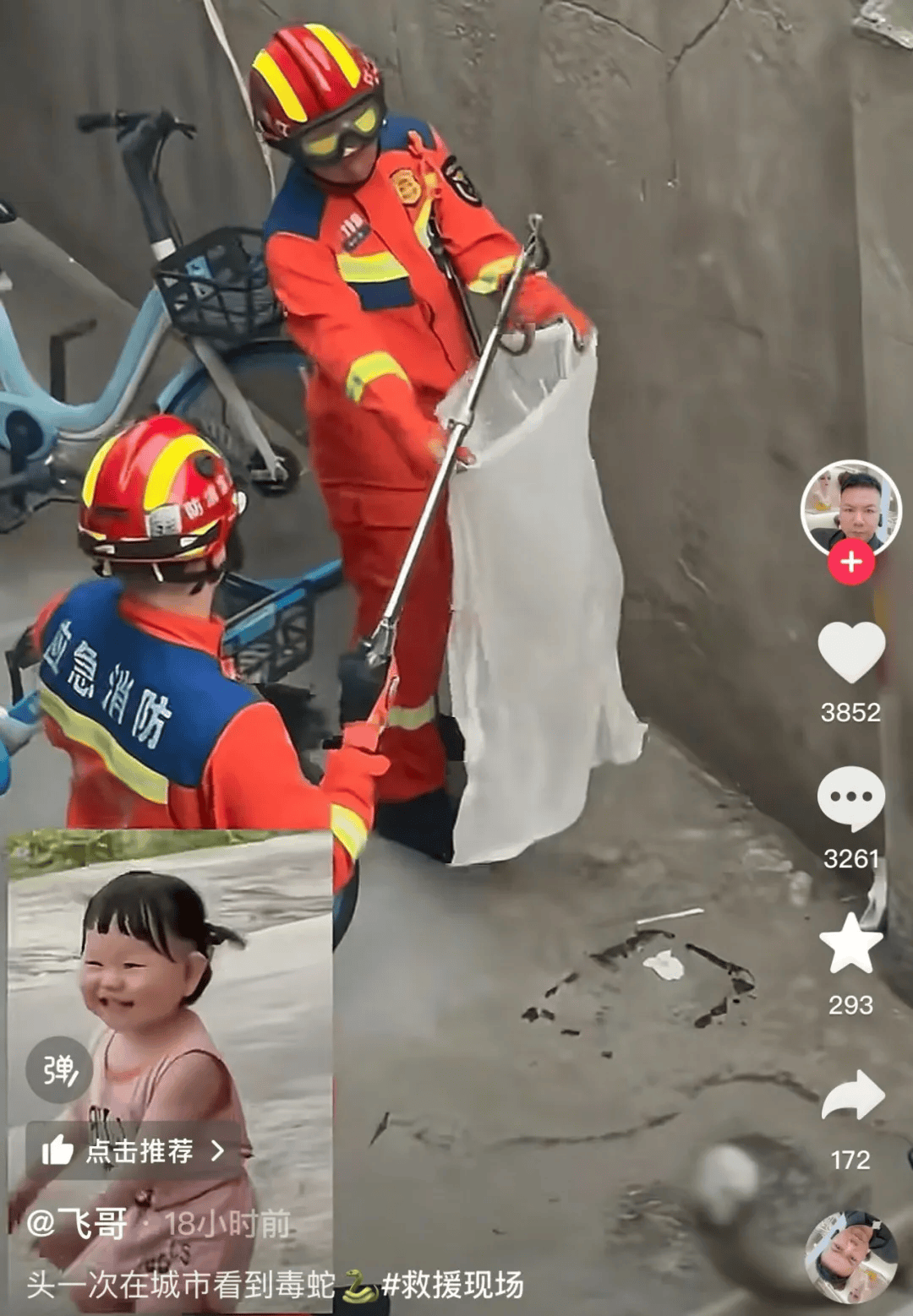 无锡市中心发现毒蛇？消防出动<strong></p>
<p>宫廷</strong>！医生紧急提醒！
