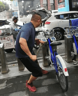 女游客疑被蛇咬伤身亡后<strong></p>
<p>宫廷</strong>，博主“啊宝”讲毒蛇1天涨粉190万