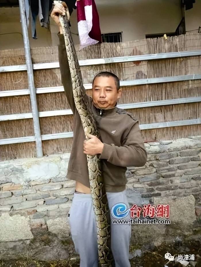 女游客疑被蛇咬伤身亡后<strong></p>
<p>宫廷</strong>，博主“啊宝”讲毒蛇1天涨粉190万