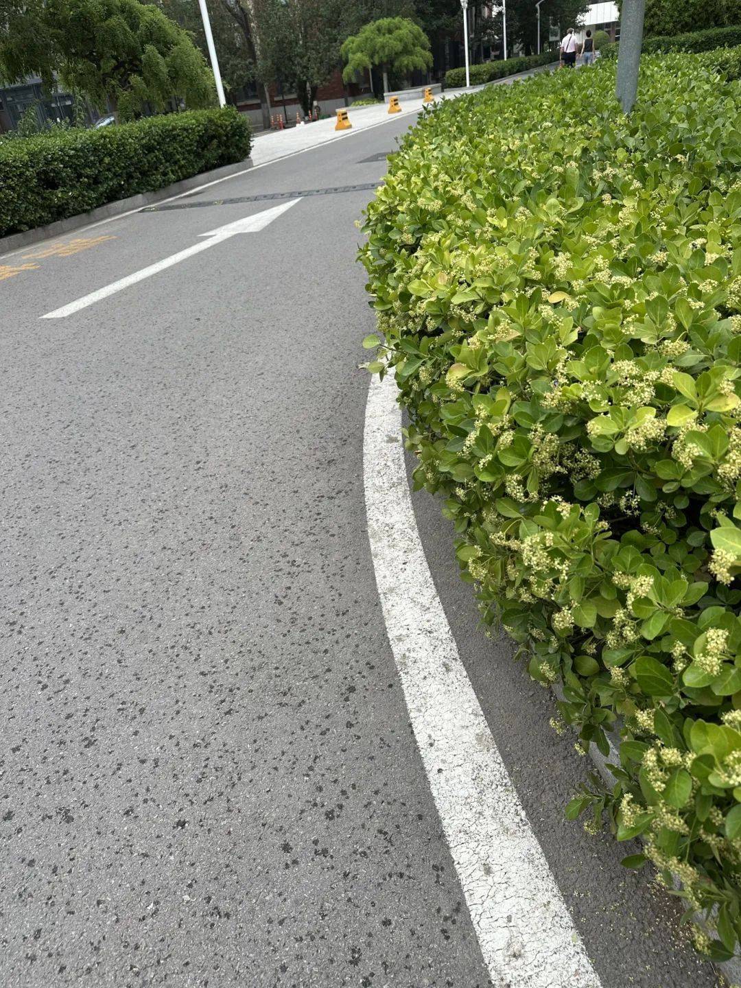 下雨了<strong></p>
<p>账号</strong>！天津接下来十天都是……