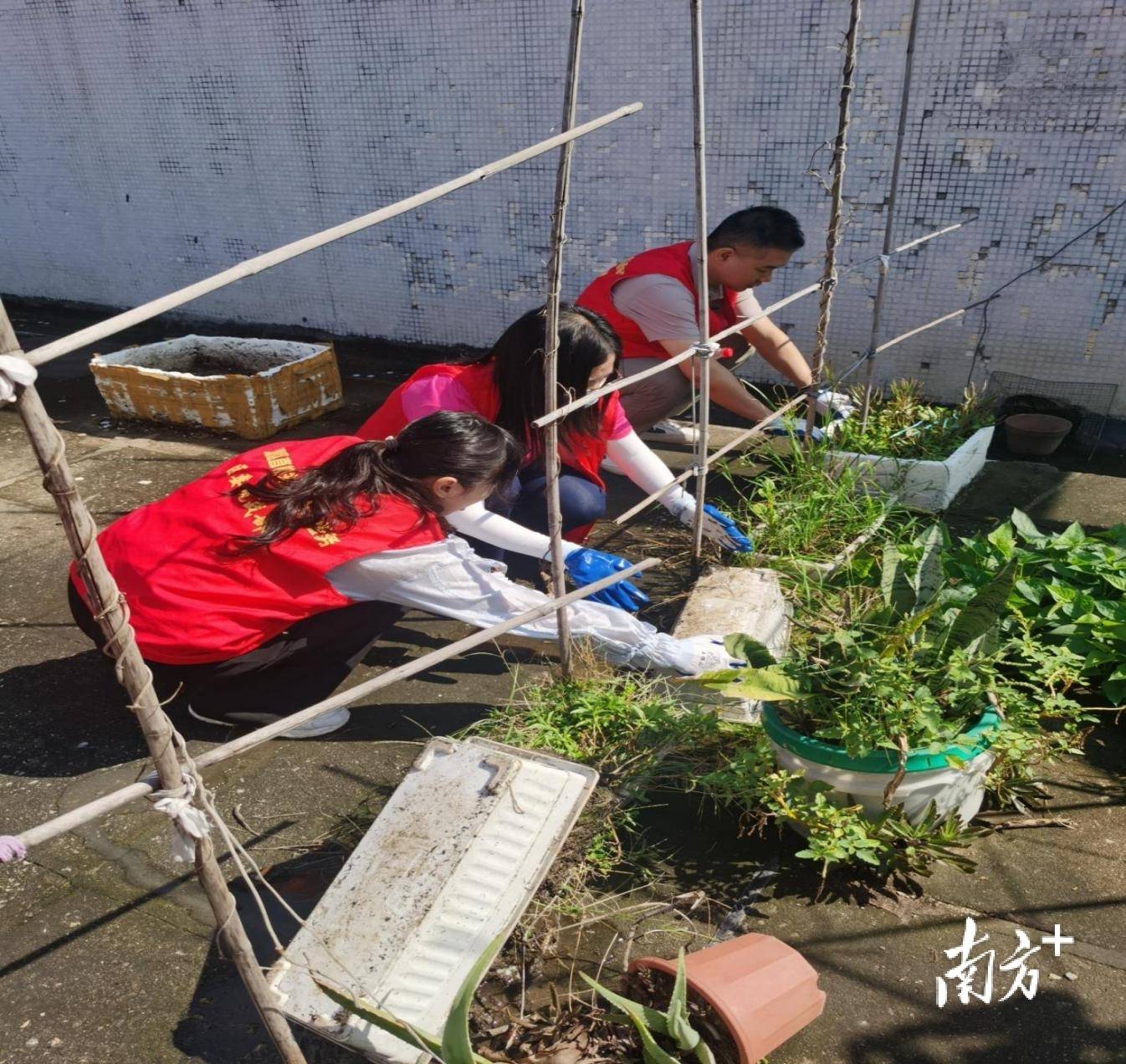 顺德超3300名党员干部下沉一线<strong></p>
<p>币圈最新消息</strong>，党群联动打响蚊媒防控歼灭战