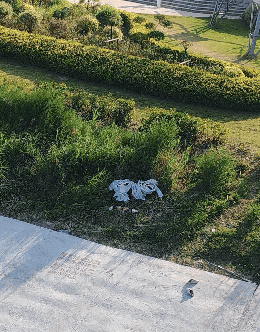 痛心！宋士佳遗体已被发现<strong></p>
<p>币圈最新消息</strong>，年仅30岁