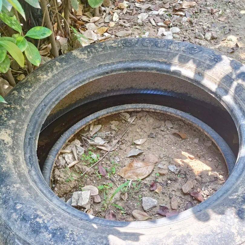 青岛疾控最新提醒：全民行动<strong></p>
<p>币圈十大交易所</strong>！翻盆倒罐、清除积水！