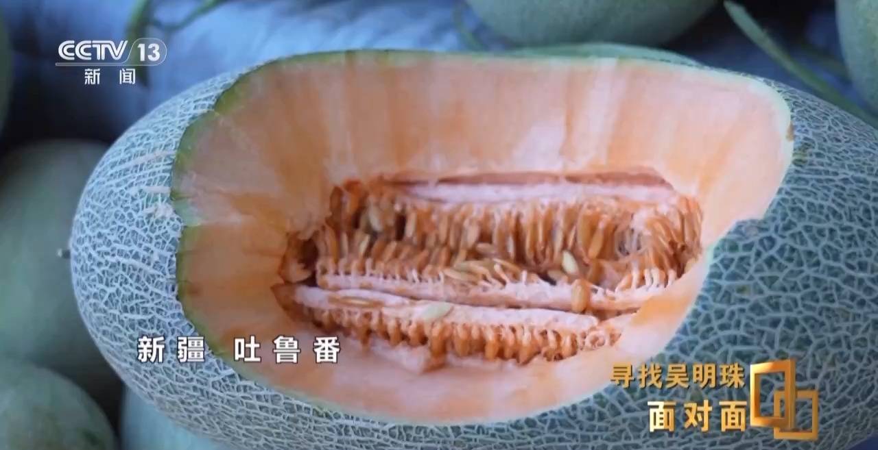 面对面丨中国人的吃瓜自由要感谢她<strong></p>
<p>币圈新手入门</strong>！吴明珠说她的一生就是结几个好瓜献给人民