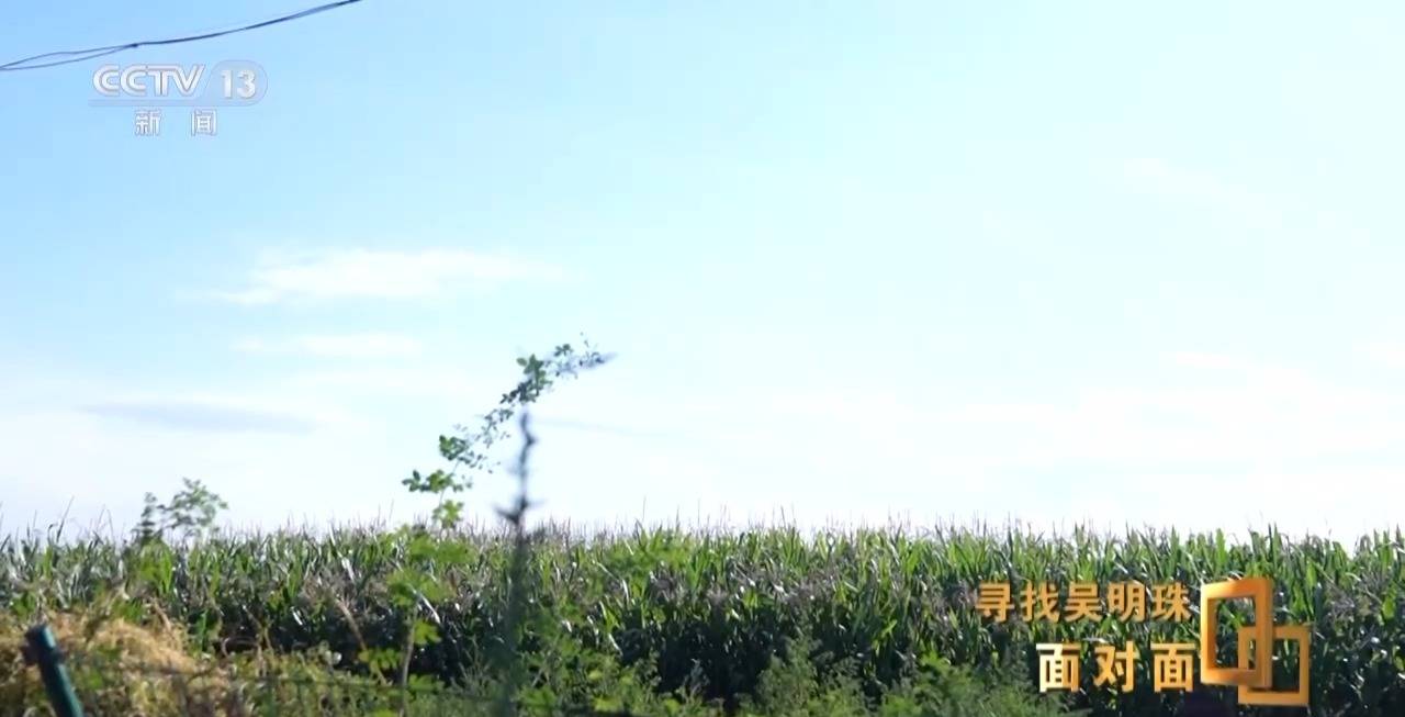 面对面丨中国人的吃瓜自由要感谢她<strong></p>
<p>币圈新手入门</strong>！吴明珠说她的一生就是结几个好瓜献给人民