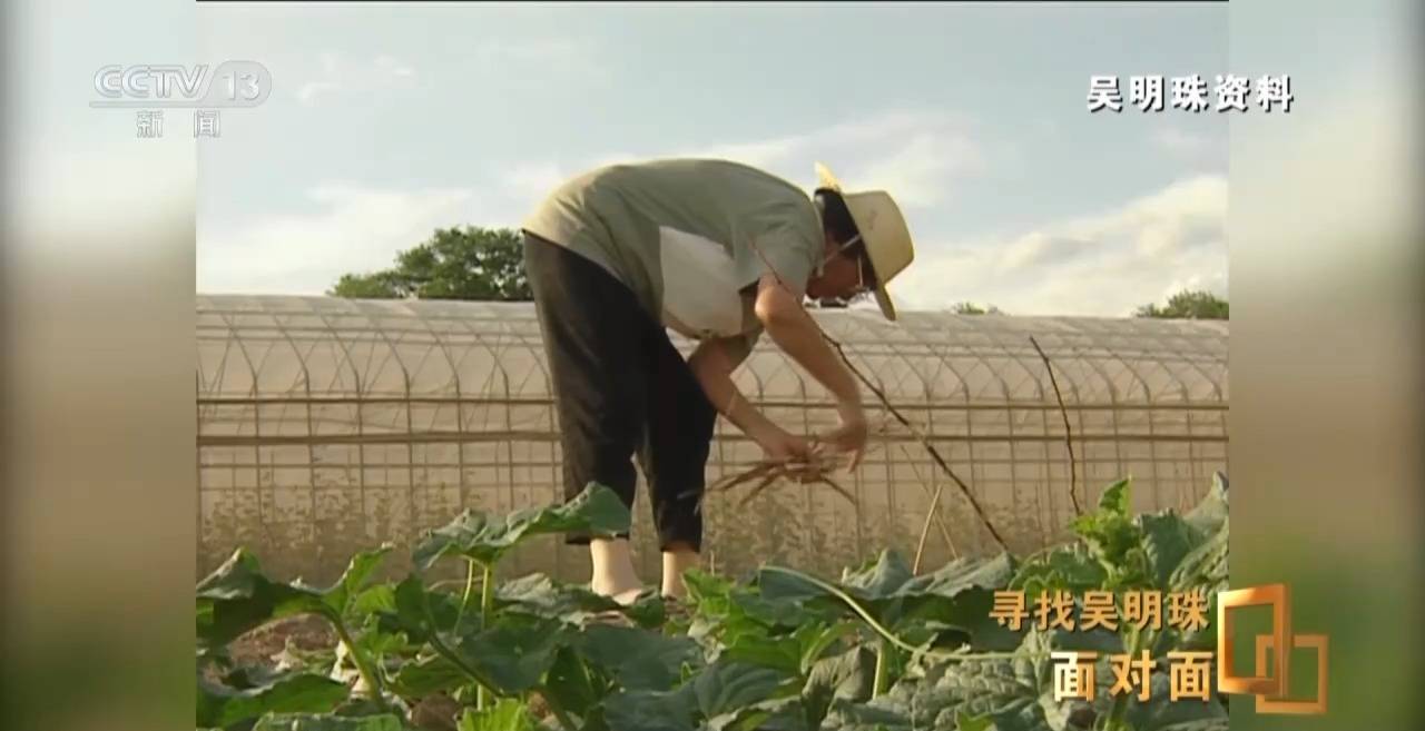 面对面丨中国人的吃瓜自由要感谢她<strong></p>
<p>币圈新手入门</strong>！吴明珠说她的一生就是结几个好瓜献给人民