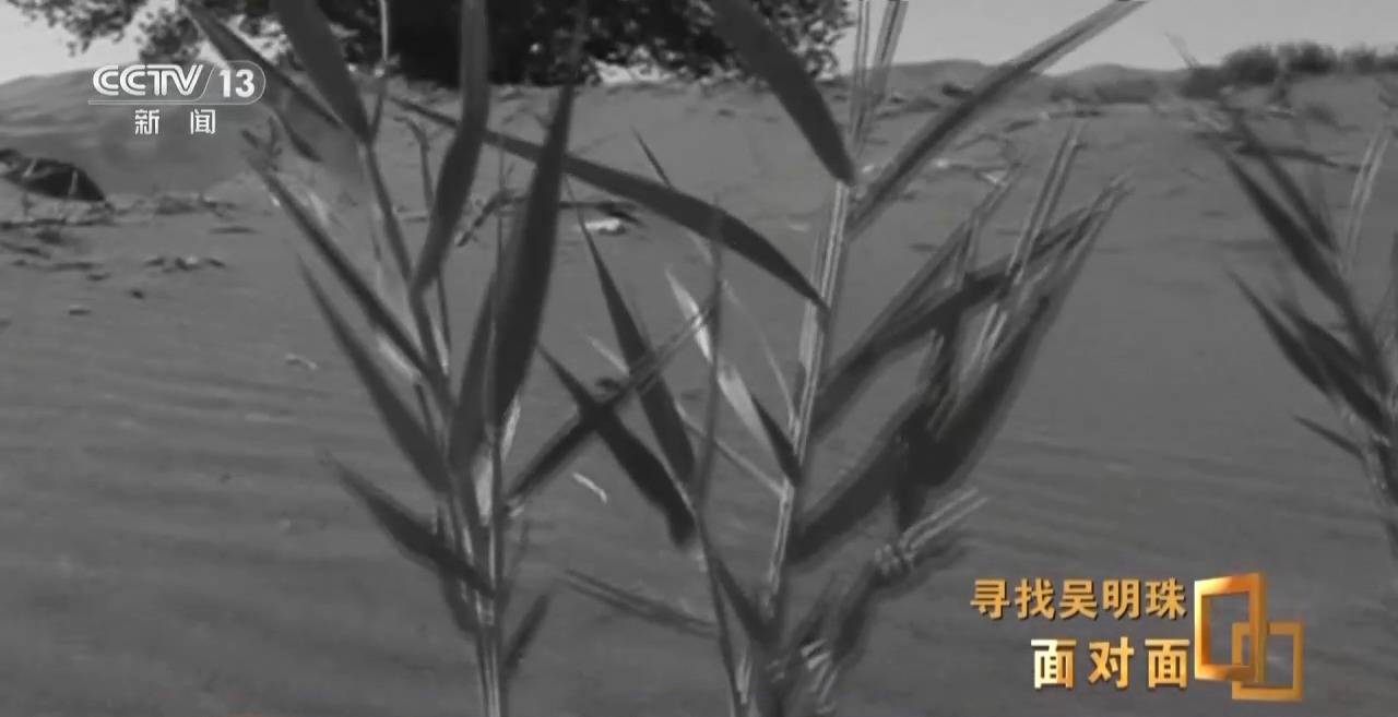 面对面丨中国人的吃瓜自由要感谢她<strong></p>
<p>币圈新手入门</strong>！吴明珠说她的一生就是结几个好瓜献给人民