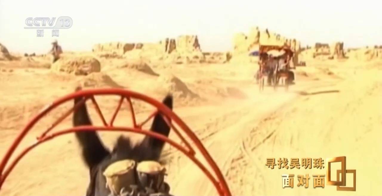 面对面丨中国人的吃瓜自由要感谢她<strong></p>
<p>币圈新手入门</strong>！吴明珠说她的一生就是结几个好瓜献给人民