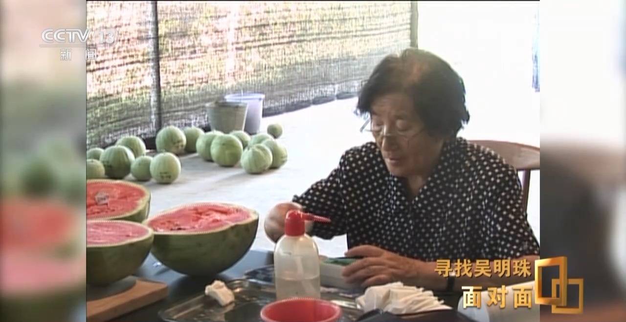 面对面丨中国人的吃瓜自由要感谢她<strong></p>
<p>币圈新手入门</strong>！吴明珠说她的一生就是结几个好瓜献给人民