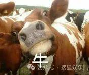 调侃“接受不了生女儿”被骂好几天<strong></p>
<p>币圈新闻</strong>，他自曝差点因此家庭破裂......