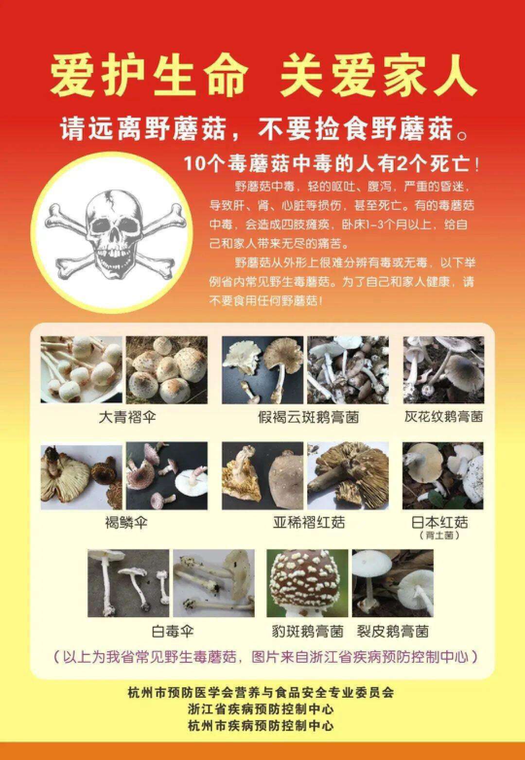 云南姑娘今年在杭州采了200斤鸡枞菌<strong></p>
<p>币圈新闻</strong>！专家提醒→