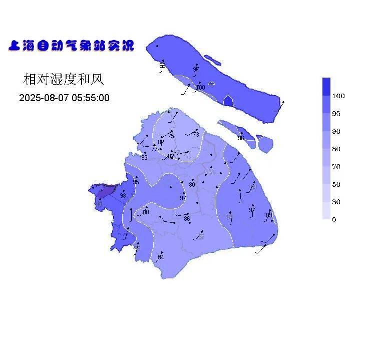 立秋到了<strong></p>
<p>币圈行情</strong>，但上海的高温加码