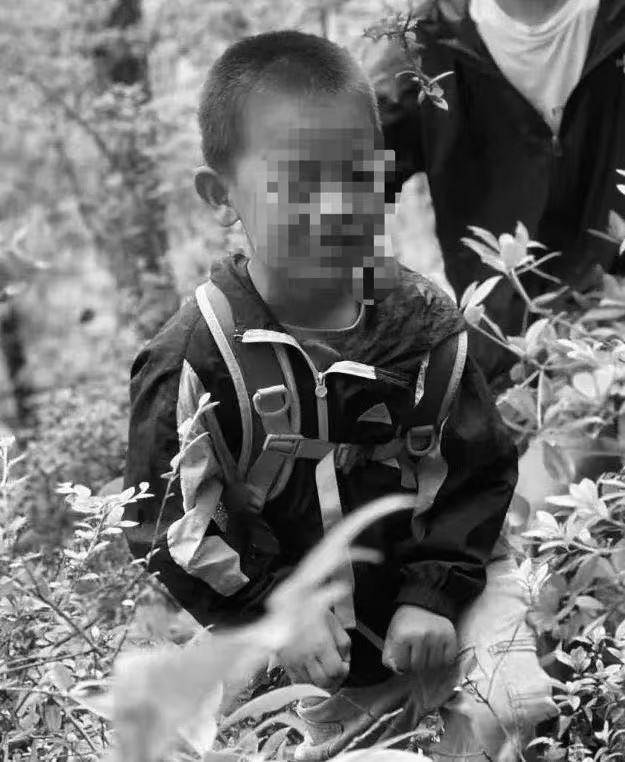 大理苍山走失的8岁自闭症男童已不幸离世<strong></p>
<p>币圈老大</strong>，遗体在一处山涧里被发现