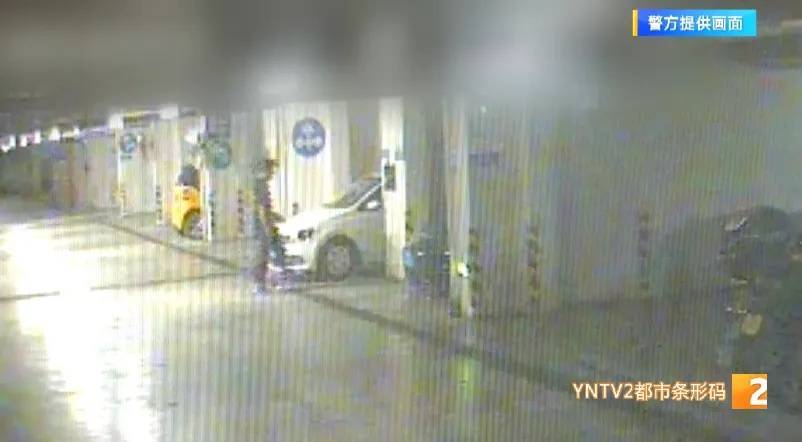 凌晨怪事！男子提着茅台袋子在车库<strong></p>
<p>币圈项目群</strong>，翻垃圾桶竟为了.....