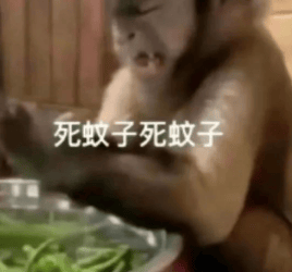 能不能让蚊子彻底灭绝啊<strong></p>
<p>币圈私募</strong>？科学家：正在努力