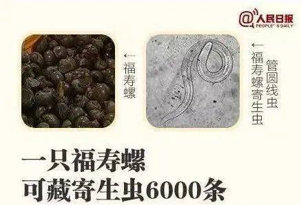 别吃！寄生虫多达6000条！浙江一地大量出现<strong></p>
<p>币圈鬼庄</strong>，看到立刻上报