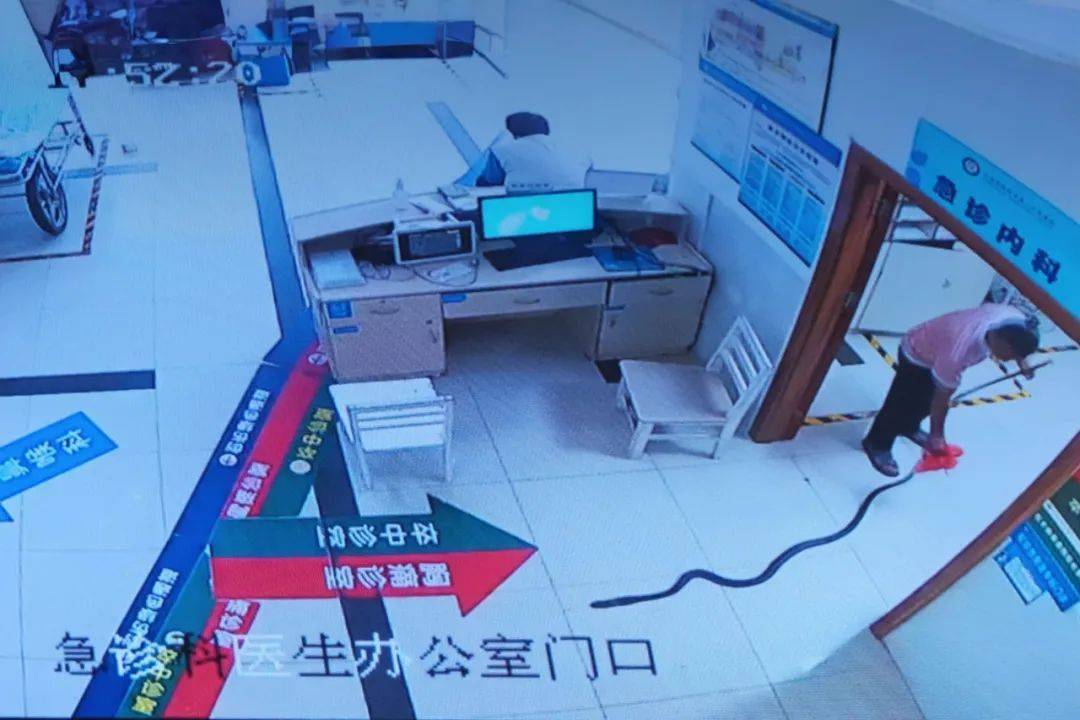 眼镜王蛇咬伤老人<strong></p>
<p>卡波币</strong>，家属拖两米多长的“凶手”冲进医院！“拎蛇就医”可取吗？