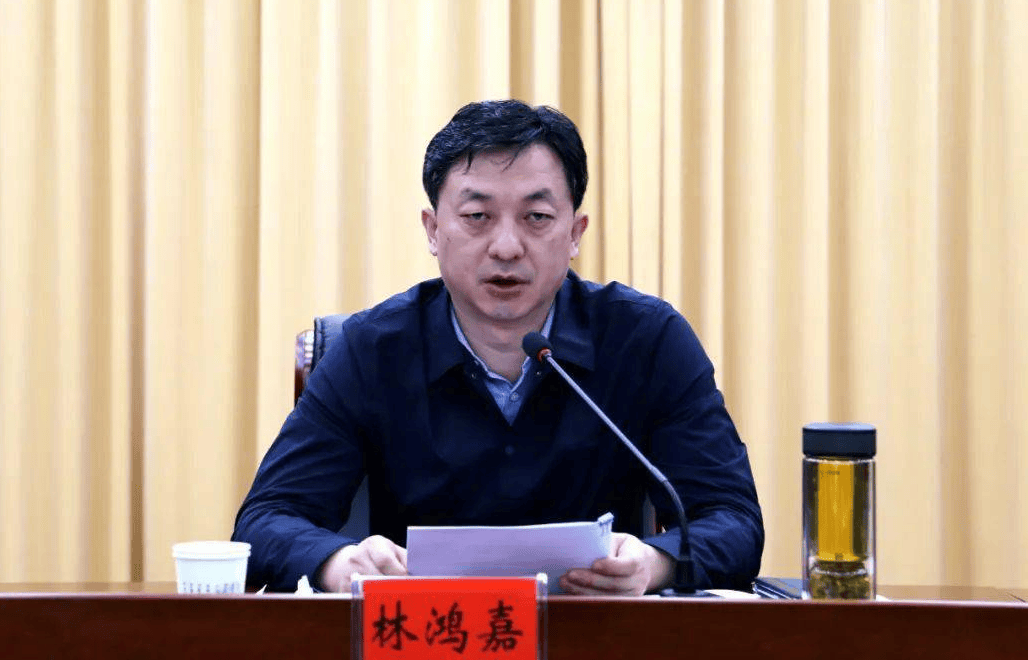 鹤壁市常务副市长林鸿嘉<strong></p>
<p>波卡币创始人</strong>，被罢免市人大代表职务