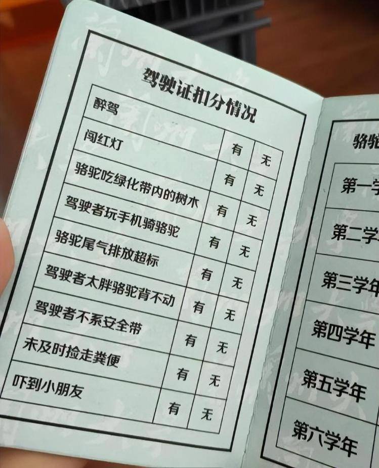 一人一驼<strong></p>
<p>卡波币行情</strong>，骆驼尾气排放超标要扣分？兰大回应学生持证骑骆驼上学：骆驼驾驶证为学校文创，非官方证件