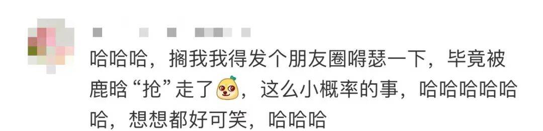 鹿晗拿走路人莲子误以为是粉丝礼物<strong></p>
<p>卡波币行情</strong>，当事人：请好好享用，希望鹿哥吃得开心！
