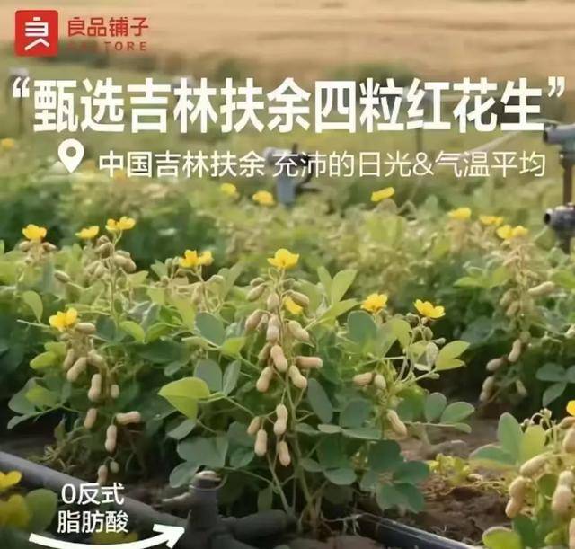 “花生上树”闹剧：AI翻车背后<strong></p>
<p>柴犬币最新价格</strong>，我们都在弄丢常识？