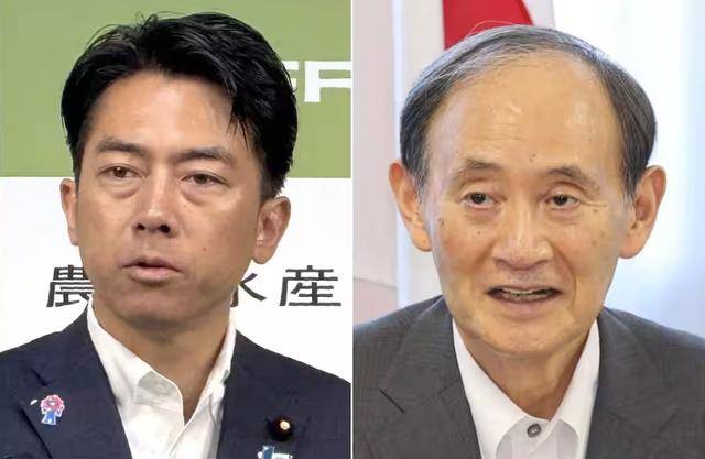 黑锅背完石破茂被赶下台<strong></p>
<p>币犬</strong>，下届日本首相人选，有个“反华”魔怔人