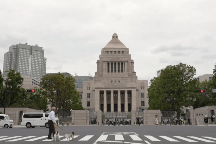 石破茂黯然下台 自民党“双少数”困局谁来破<strong></p>
<p>币犬</strong>？