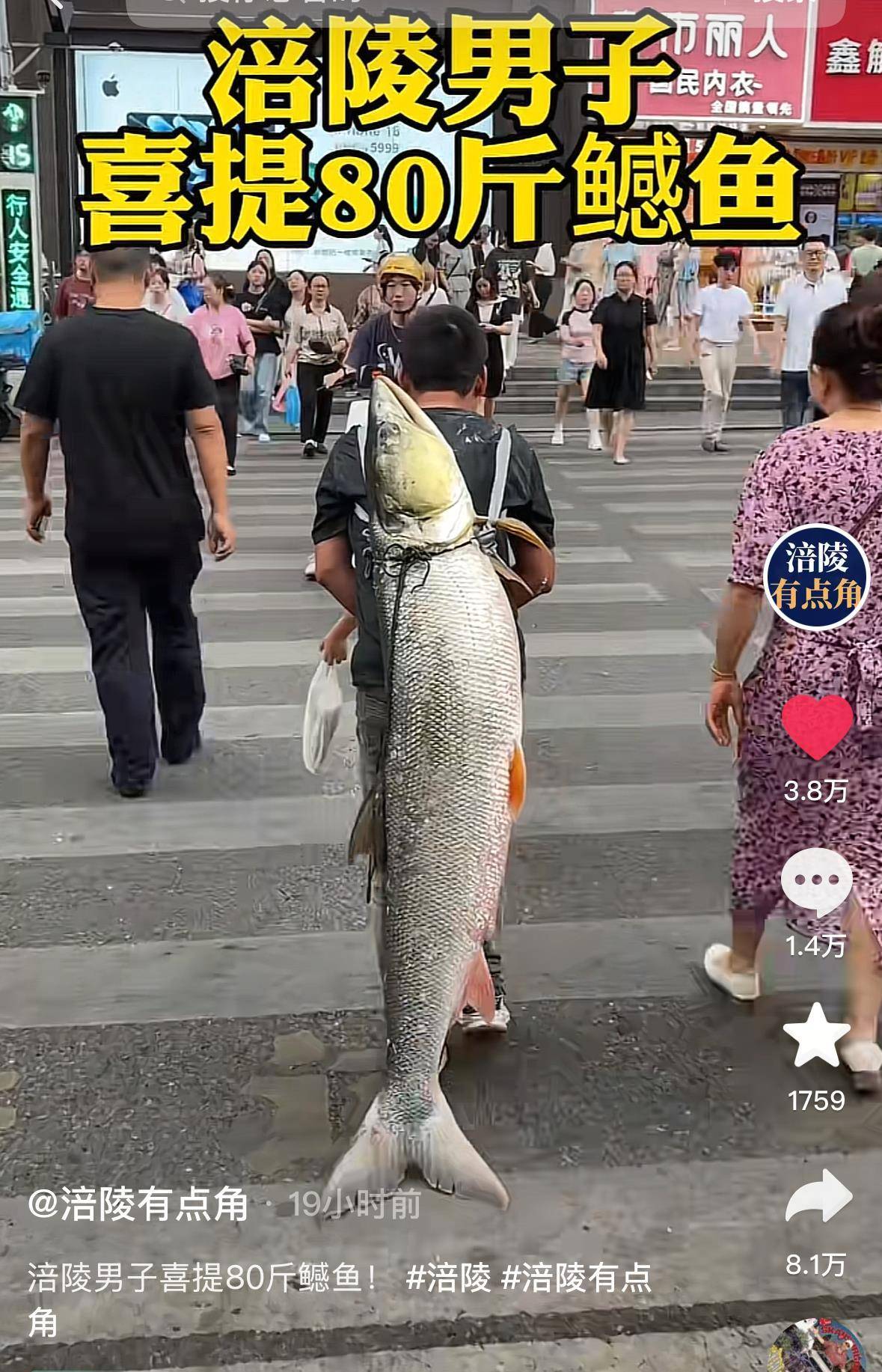 重庆一男子钓上79斤鳡鱼后<strong></p>
<p>柴犬币最新</strong>，背着鱼在闹市当“显眼包”穿行20分钟，本人：有1.64米长