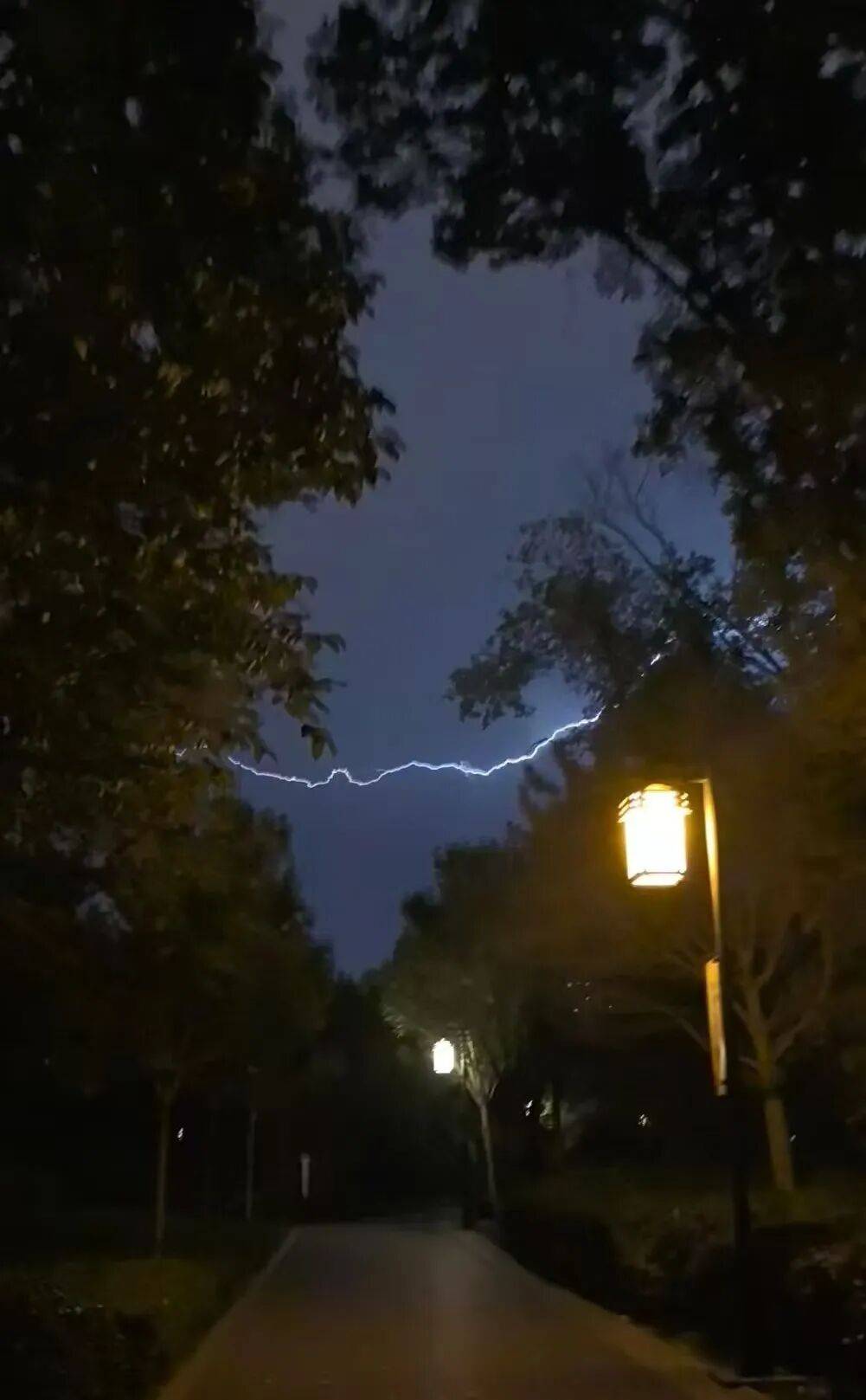 知名女主持人自曝：我雷暴哮喘了！太原这家医院急诊数小时内曾接诊400多人<strong></p>
<p>非小号</strong>，近期高发