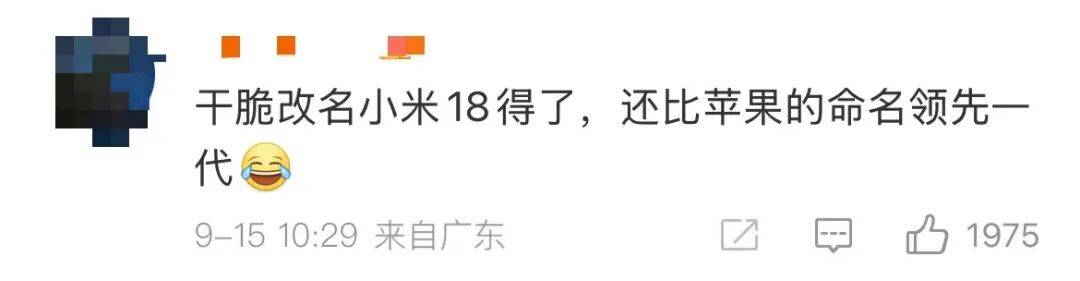 雷军：全面对标iPhone<strong></p>
<p>非小号官网</strong>，正面迎战！小米宣布跳过16系列，直接发布17