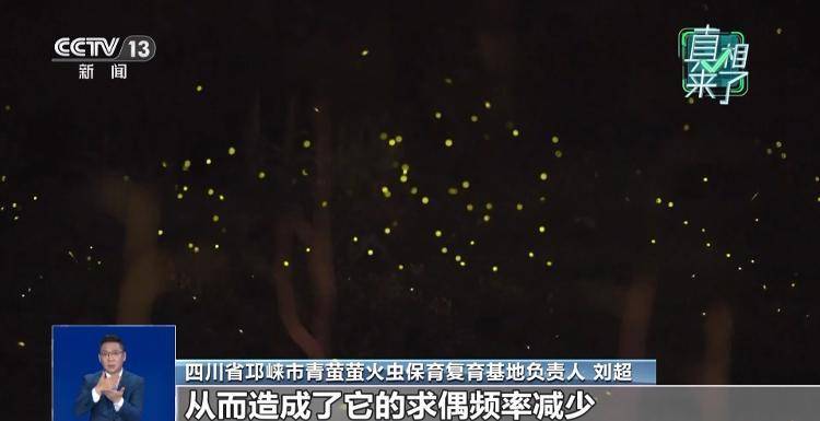 网传萤火虫濒临灭绝<strong></p>
<p>非小号行情</strong>，是真的吗？