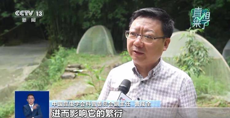 网传萤火虫濒临灭绝<strong></p>
<p>非小号行情</strong>，是真的吗？