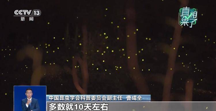 网传萤火虫濒临灭绝<strong></p>
<p>非小号行情</strong>，是真的吗？