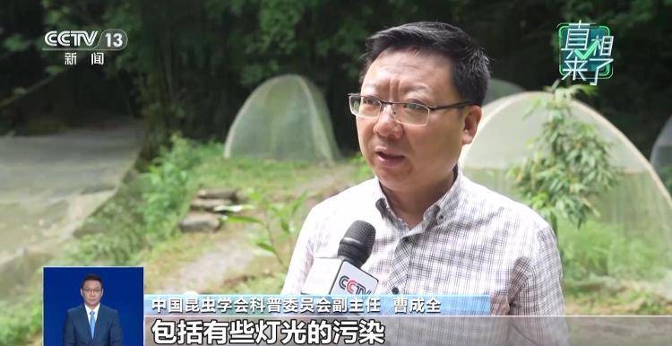 网传萤火虫濒临灭绝<strong></p>
<p>非小号行情</strong>，是真的吗？